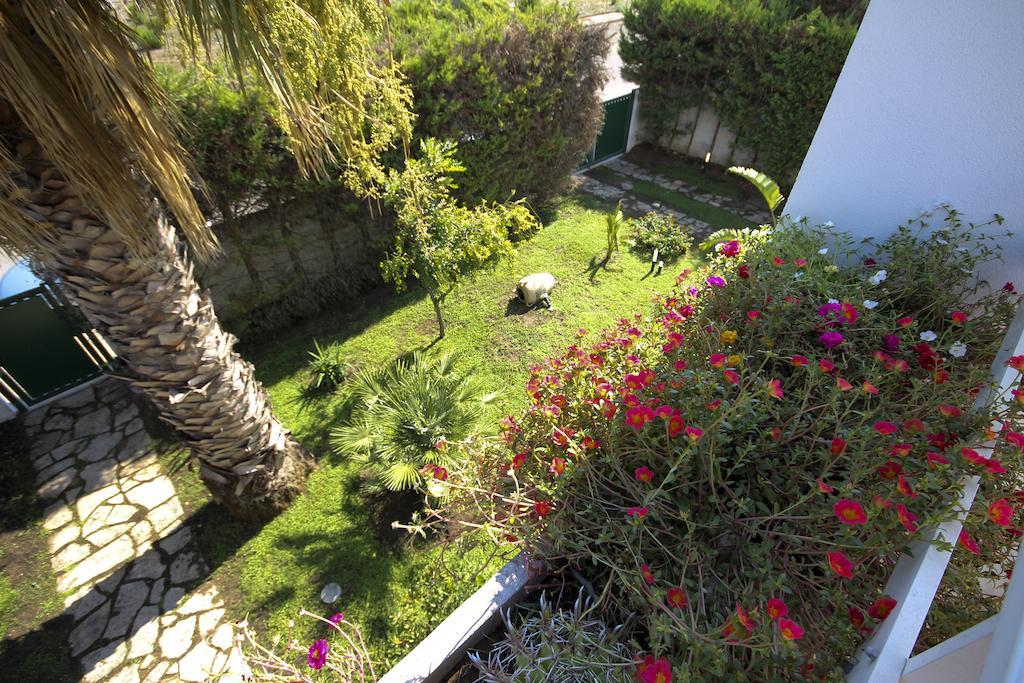 B&B Villa Genny A Pochi Passi Dal Mare サン・カタルド 部屋 写真