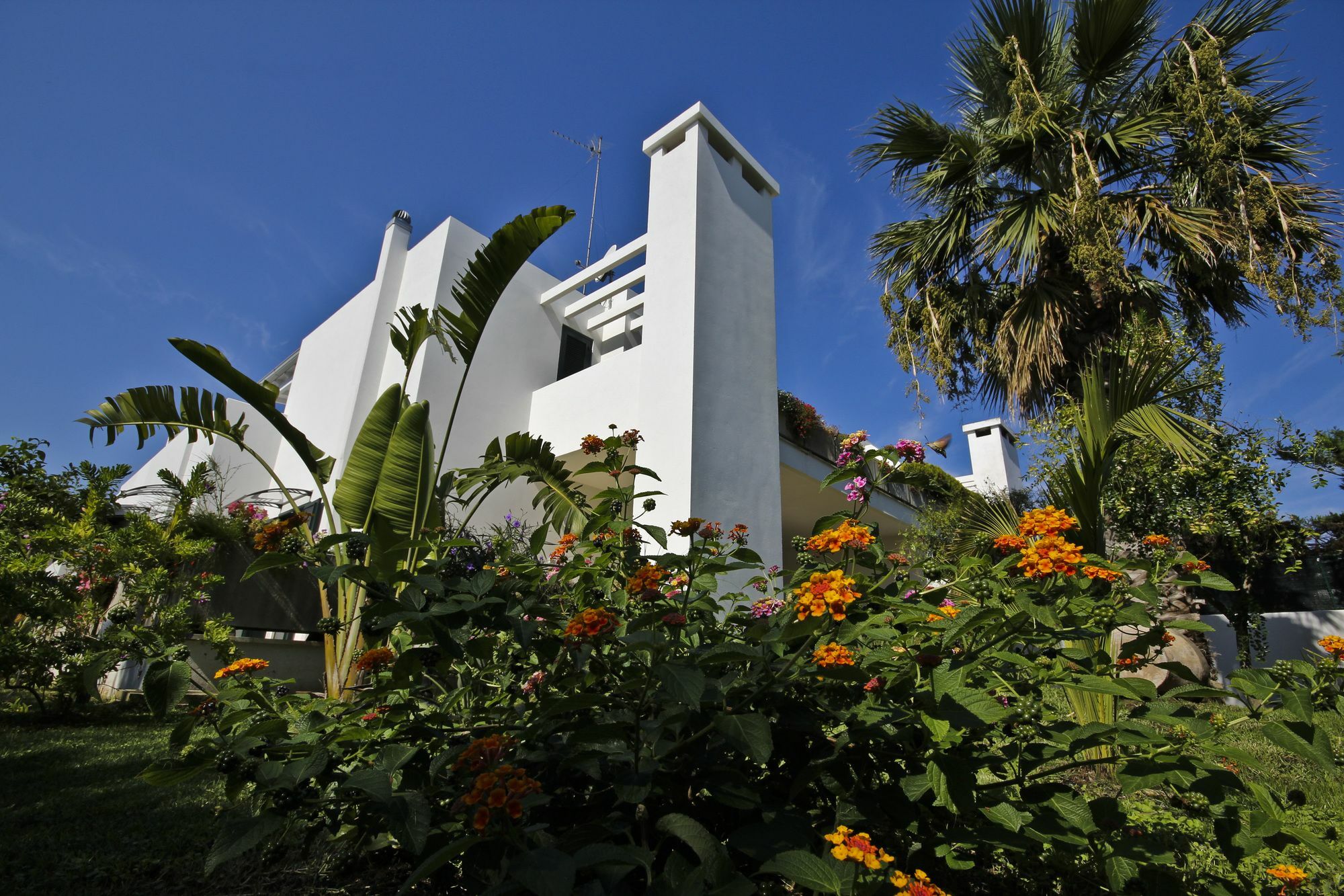 B&B Villa Genny A Pochi Passi Dal Mare サン・カタルド エクステリア 写真